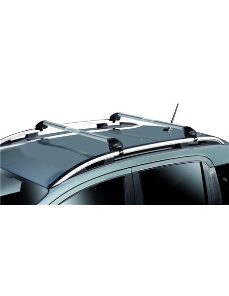 Juego de 2 barras de aluminio Free Line 100 a 130 cm. railing abierto