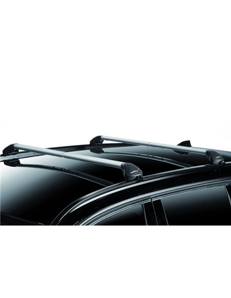 Juego de 2 barras de aluminio Free Line 80 a 110 cm. railing integrado