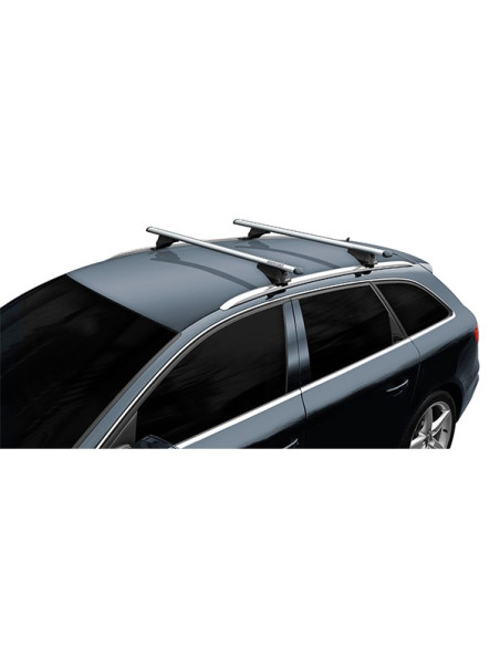 BARRAS PORTAEQUIPAJES TIGER XL SILVER 1315 MM.