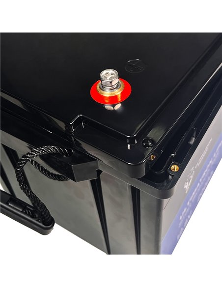 Batería de litio LiFePO4 Ultimatron 25.6V 100 Ah bluetooth y Smart BMS