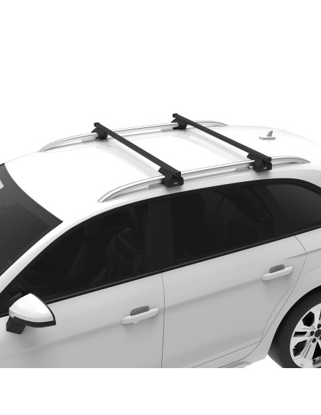 2 barras de techo de acero CRUZ Lane 110